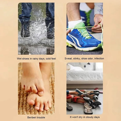 Intelligent Shoe Dryer with Timer – Quick Dry, Deodorizing & Sterilizing